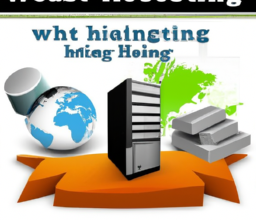 What You Need to Know About Web Hosting - A Detailed Guide